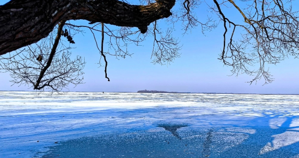 Зимова краса озера Світязь. ФОТО