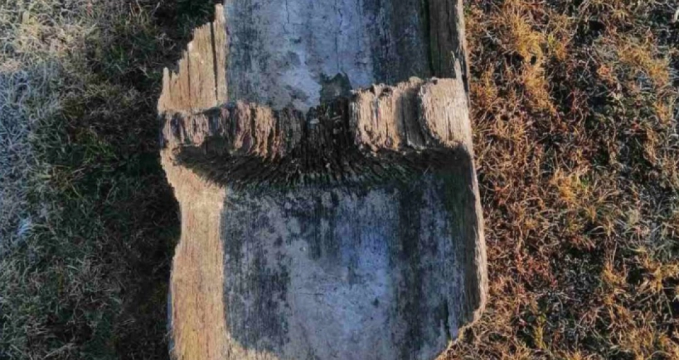 На Волині вчитель знайшов уламки човна, якому Човну 1 650 років. Фото: Камінь-Каширський краєзнавчий музей