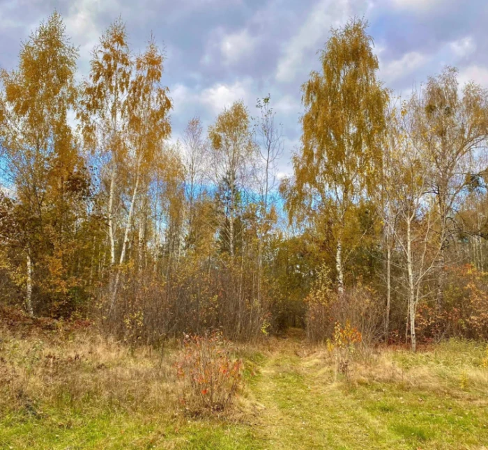 У мережі показали зачаровану красу волинського села. Фото: Леся Куприянчик