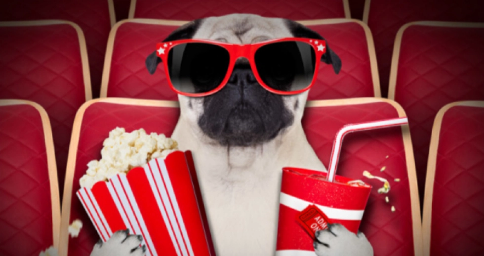 Що подивитися: топ-8 фільмів, які українці шукали в Google у 2025 році