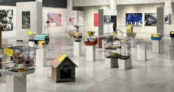 У Луцьку презентують артпроєкт, що змушує по-іншому глянути на тварин