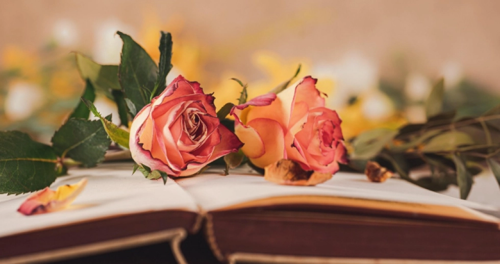 Кохання між рядками: сучасна романтика на книжкових полицях