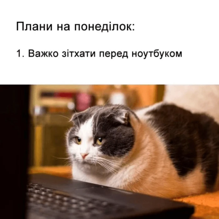 Меми, які допоможуть пережити початок тижня. Фото з соцмереж