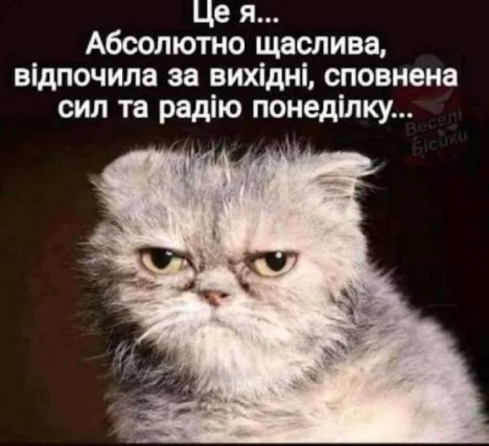 Меми, які допоможуть пережити початок тижня. Фото з соцмереж