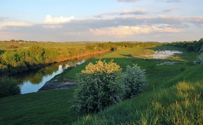 Весна на заплаві ріки Стир