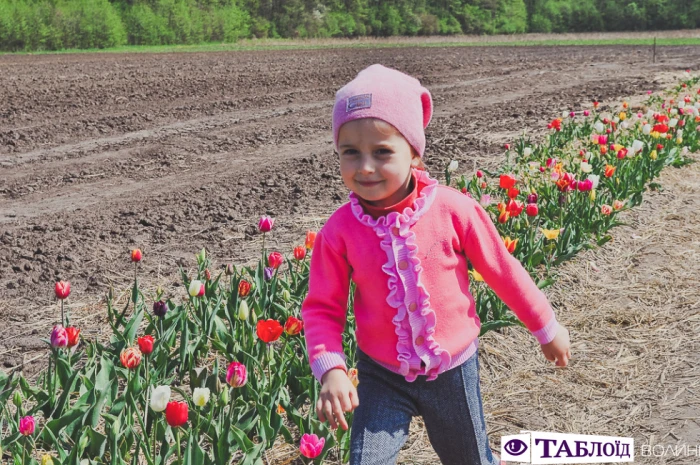 «Волинська Голландія»