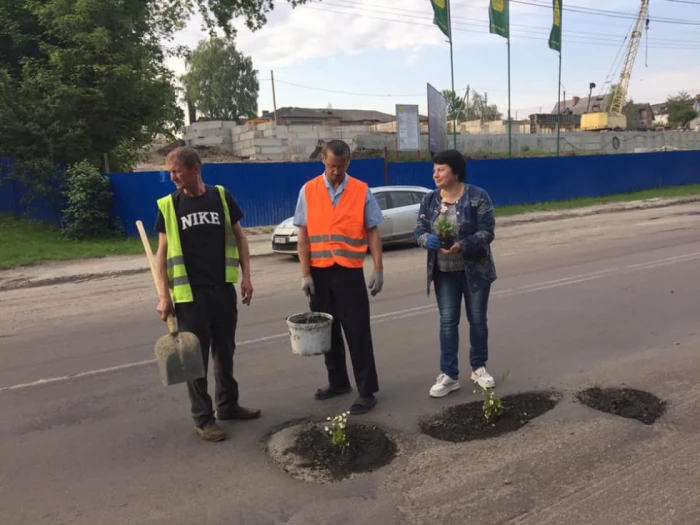 У Луцьку посадили квіти в... асфальті