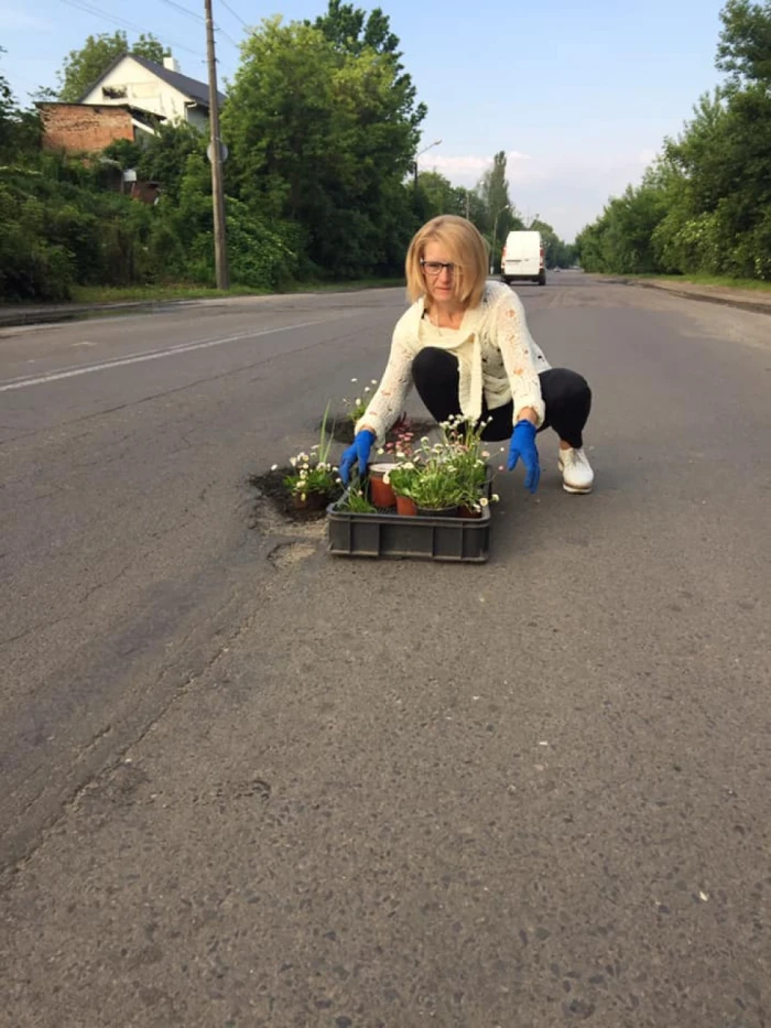 У Луцьку посадили квіти в... асфальті