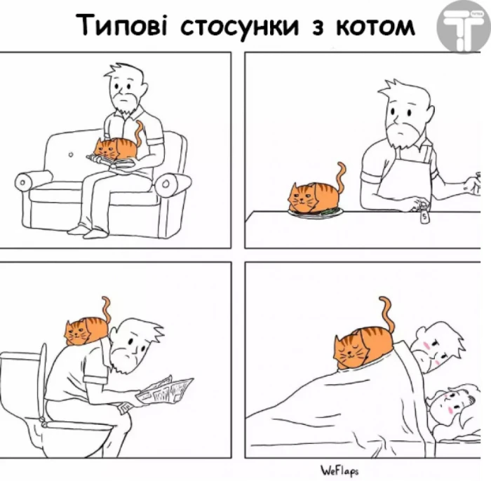 Життя з котом буває веселим