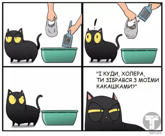 Життя з котом буває веселим