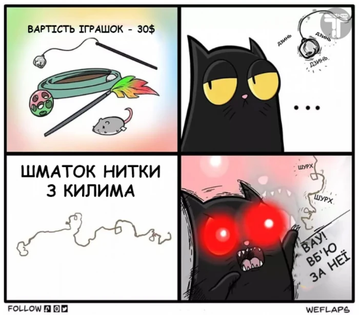 Життя з котом буває веселим