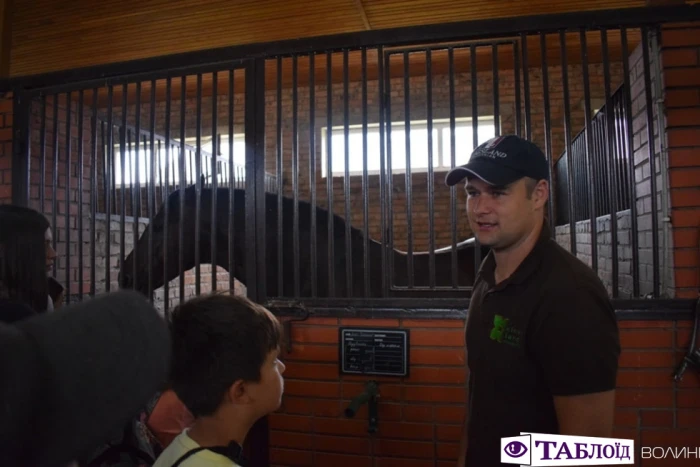 Юні волиняни уCloverLand Horse Club