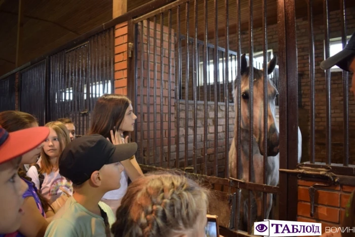 Юні волиняни уCloverLand Horse Club