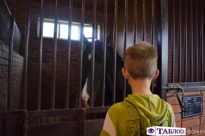 Юні волиняни уCloverLand Horse Club