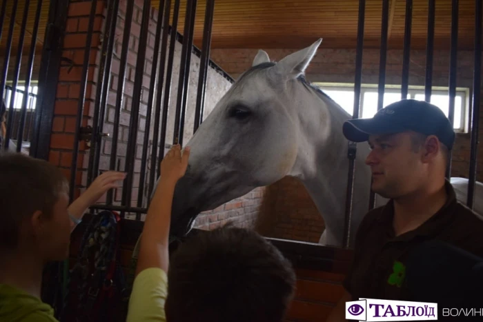 Юні волиняни уCloverLand Horse Club