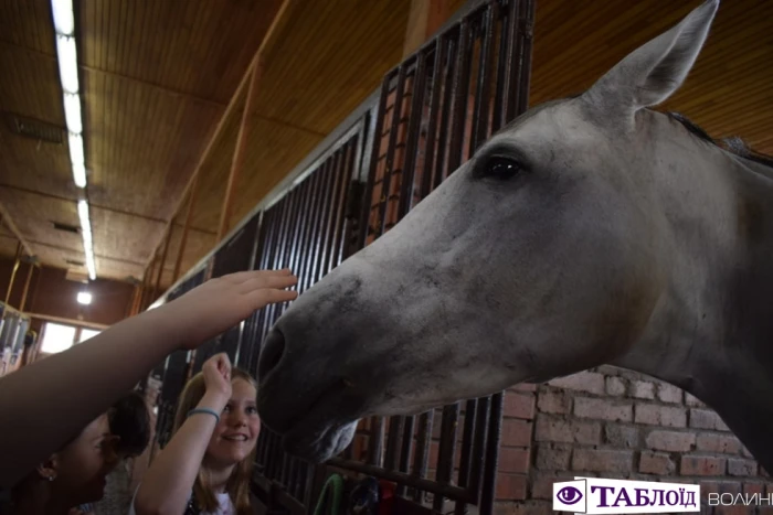 Юні волиняни уCloverLand Horse Club