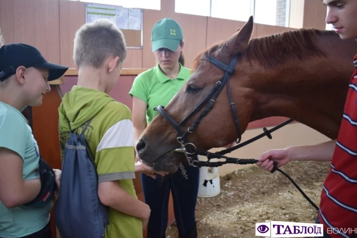 Юні волиняни уCloverLand Horse Club