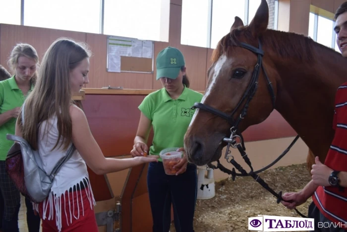 Юні волиняни уCloverLand Horse Club