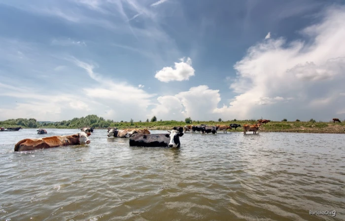 Фото з фейсбуку Олега Бурлака