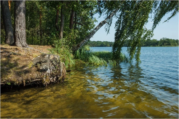 Озеро села Глухи