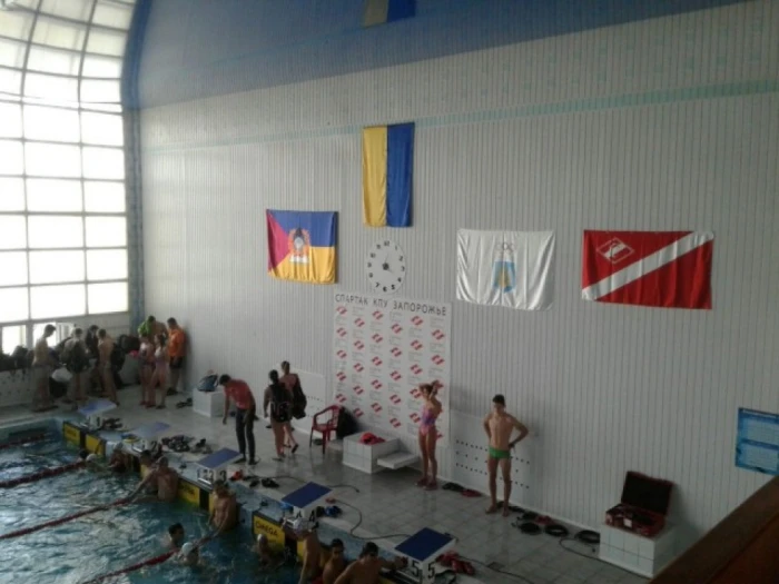 Чемпіонат України з плавання