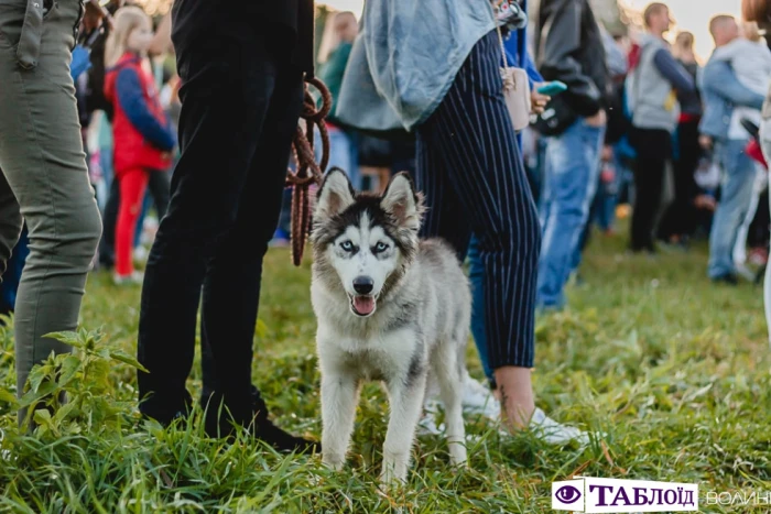 «Kvartal FEST» у Луцьку