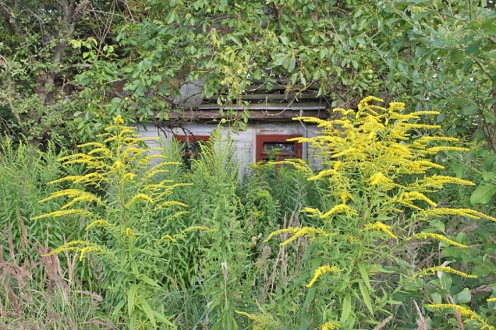 Волинь на світлинах Сергія Палька