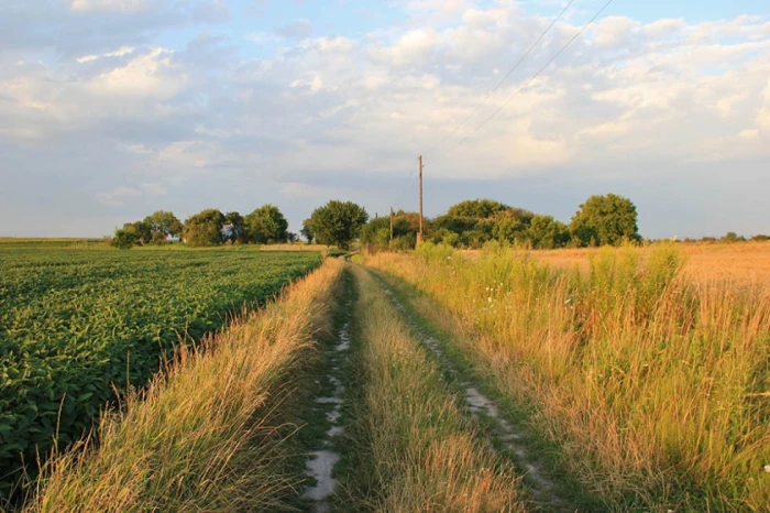 Волинь на світлинах Сергія Палька