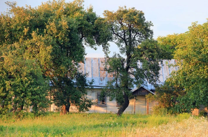 Волинь на світлинах Сергія Палька