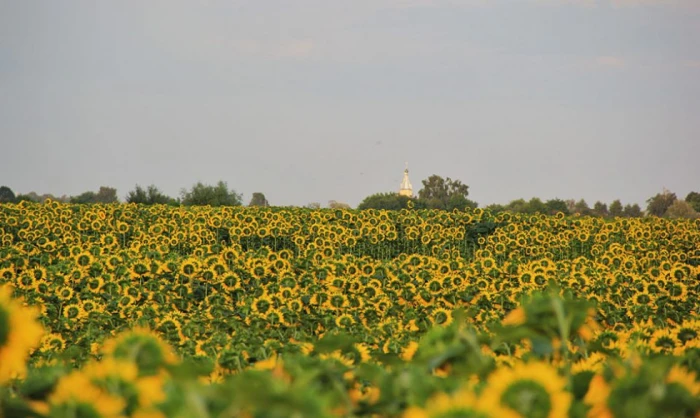 Волинь на світлинах Сергія Палька