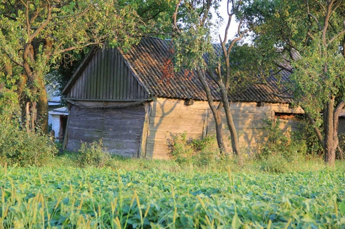 Волинь на світлинах Сергія Палька