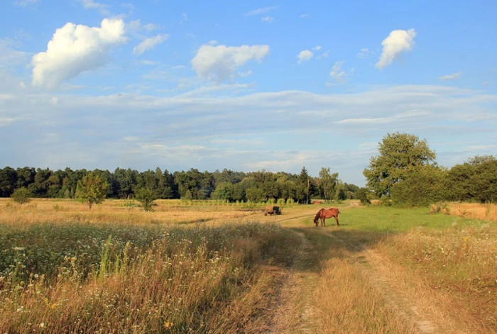 Волинь на світлинах Сергія Палька