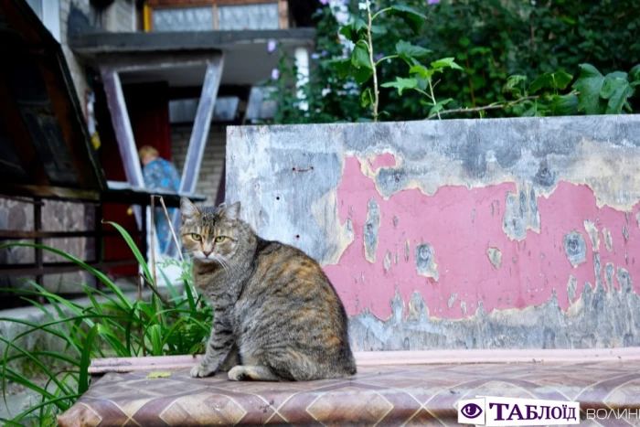 Луцьк ранковий: Привокзальний район