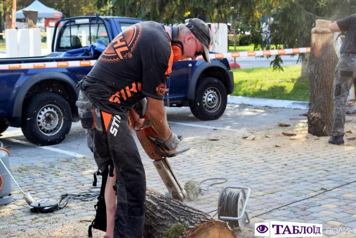 Красені дня: брутальні скульптори «Korsak carving festival»