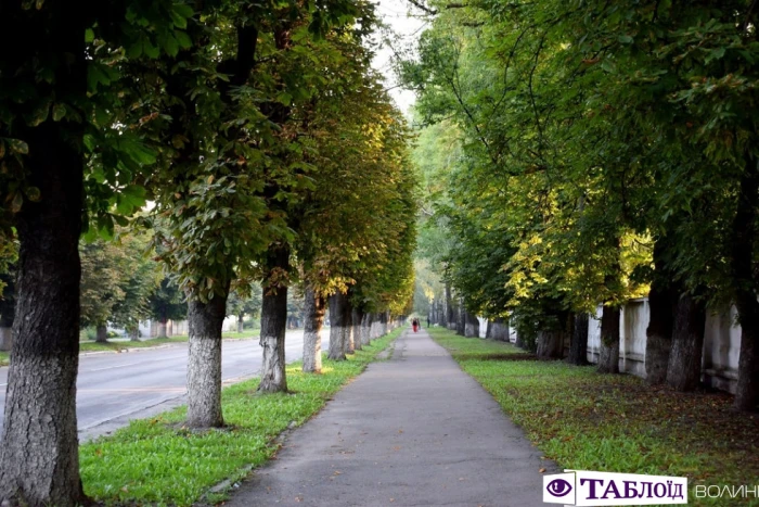 Луцьк ранковий: провінційний шарм і квіти Вишкова