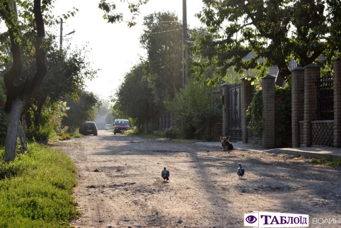 Луцьк ранковий: провінційний шарм і квіти Вишкова