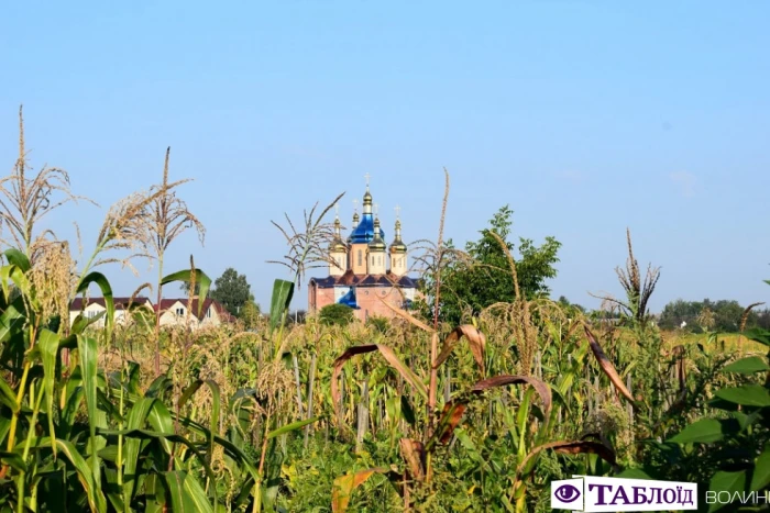 Луцьк ранковий: провінційний шарм і квіти Вишкова