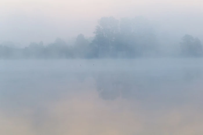 Природній мінімалізм