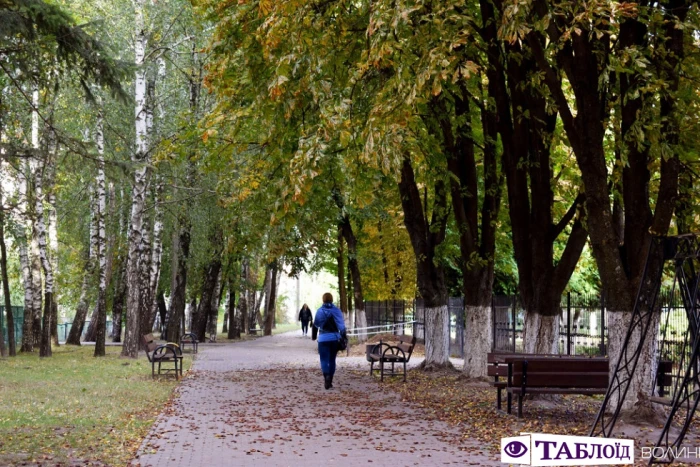 Луцьк ранковий: коти та багатоповерхівки 40-го кварталу