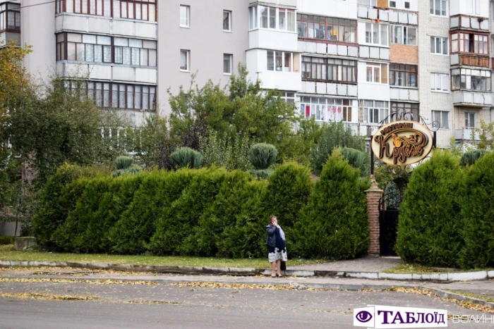 Луцьк ранковий: коти та багатоповерхівки 40-го кварталу