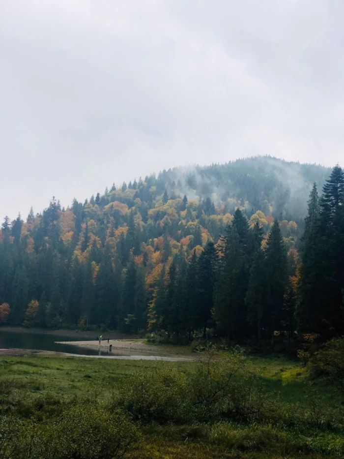 Фото з фейсбук-сторінки