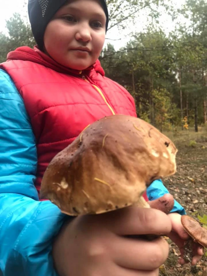 «Тихе полювання» у волинських лісах