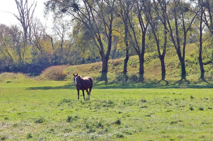 Фото Сергія Палька