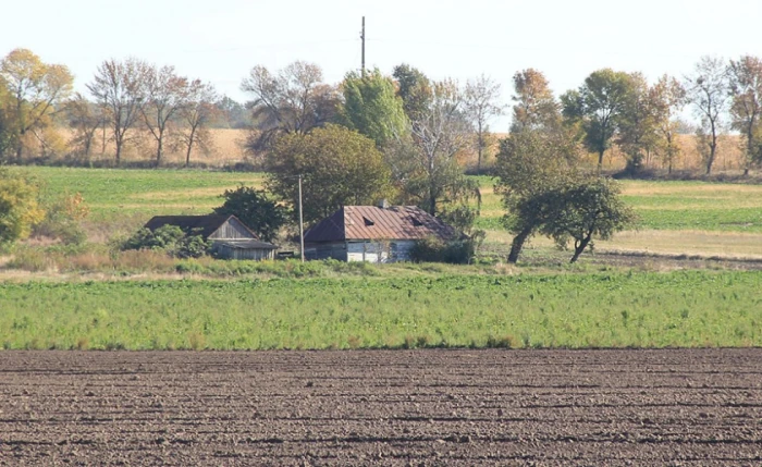 Фото Сергія Палька