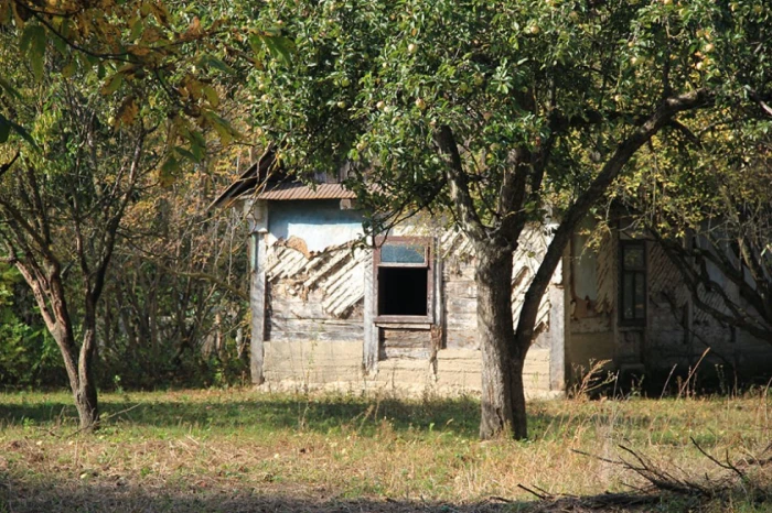 Фото Сергія Палька