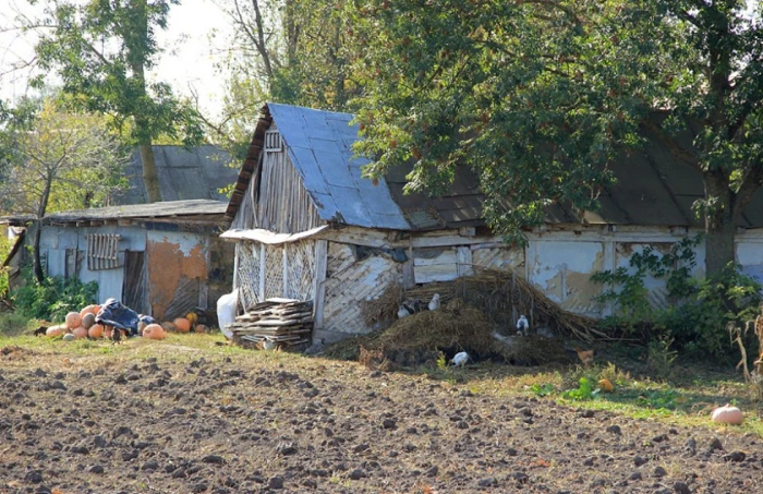 Фото Сергія Палька