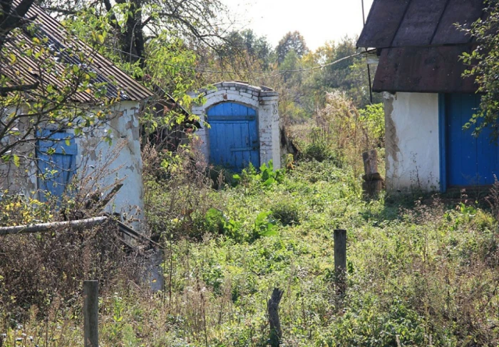 Фото Сергія Палька