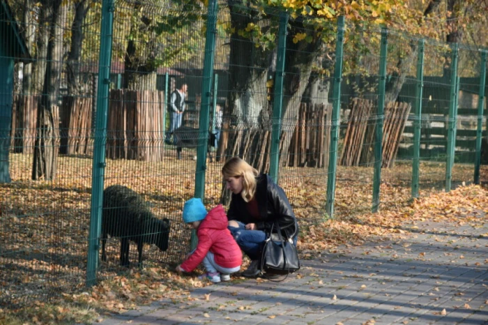 Ювілей Луцького зоопарку