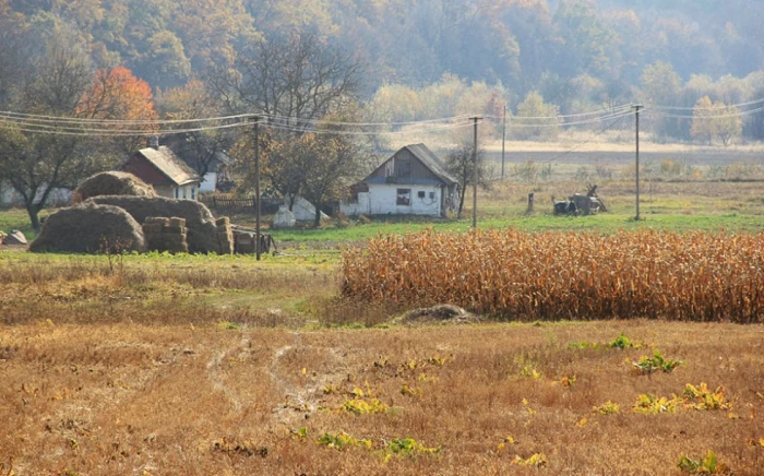 Фото Сергія Палька