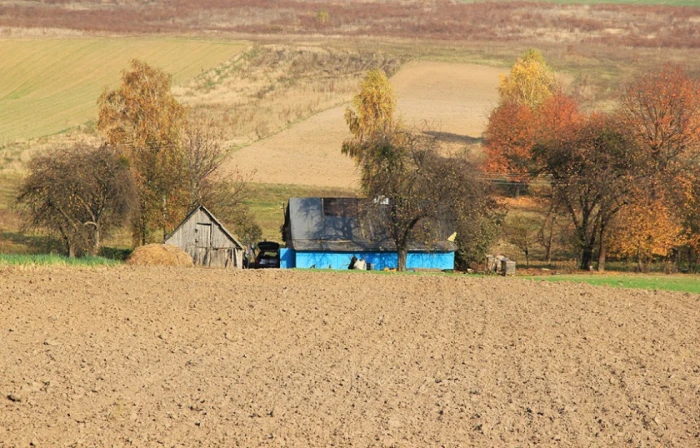 Фото Сергія Палька